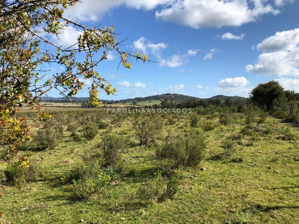 Campo en venta excelente lugar