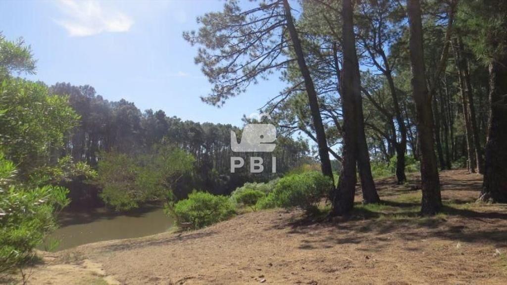 Terreno en venta Chihuahua  - Ref : PBI919