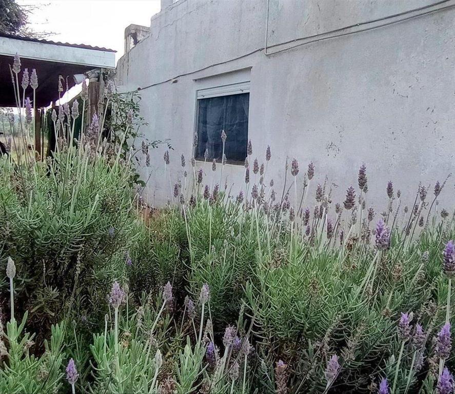 Venta casa en Aiguá, Maldonado, 2 dormitorios con terreno.
