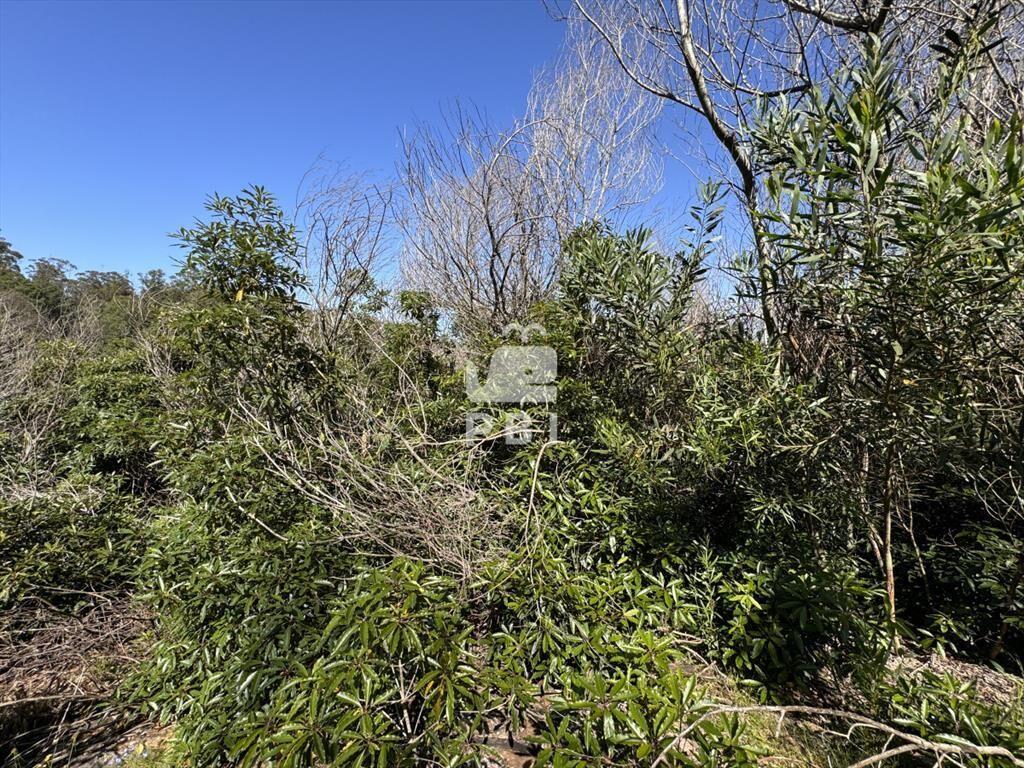 Venta terreno Las Cumbres Punta Ballena Punta del Este - Re