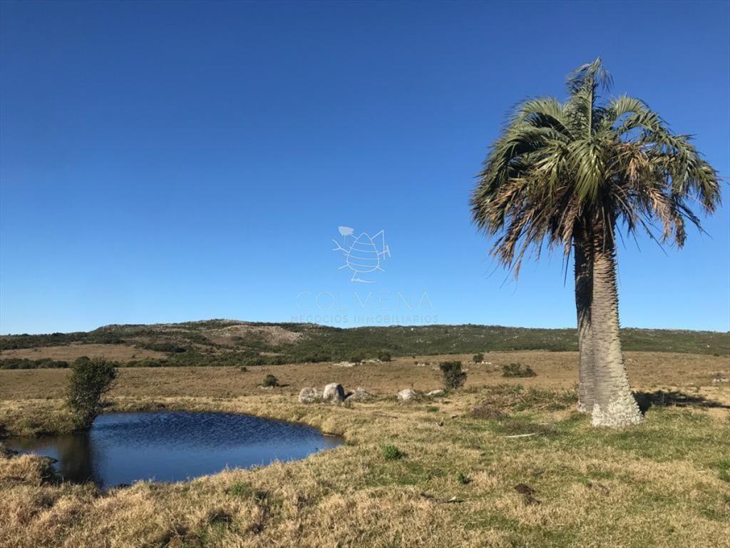 Campo 185 has - Paraje Paso de Dutra