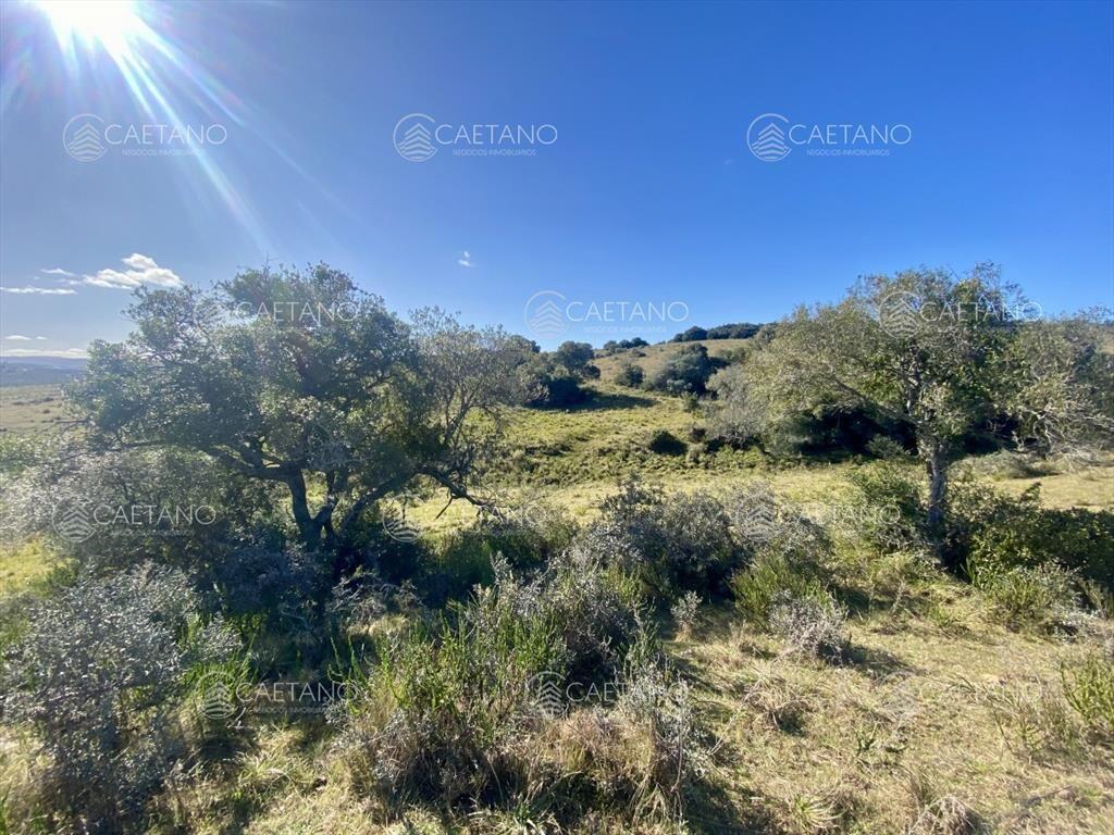 Venta chacra 5 hectáreas. Camino del Olivo,