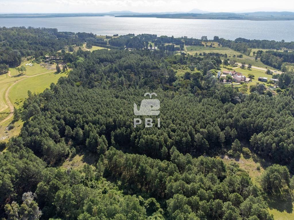 Chacra en venta en Laguna del Sauce, Punta - Ref