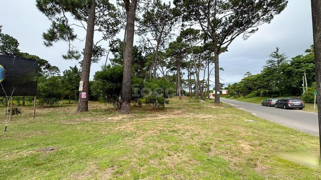 2 TERRENOS CON EXCELENTE UBICACIÓN EN PUNTA DEL ESTE