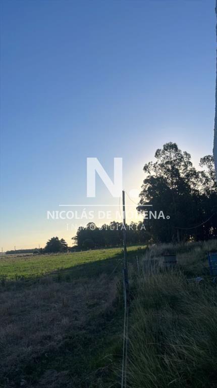 Campo de 10.5 Ha bien logistico en florida