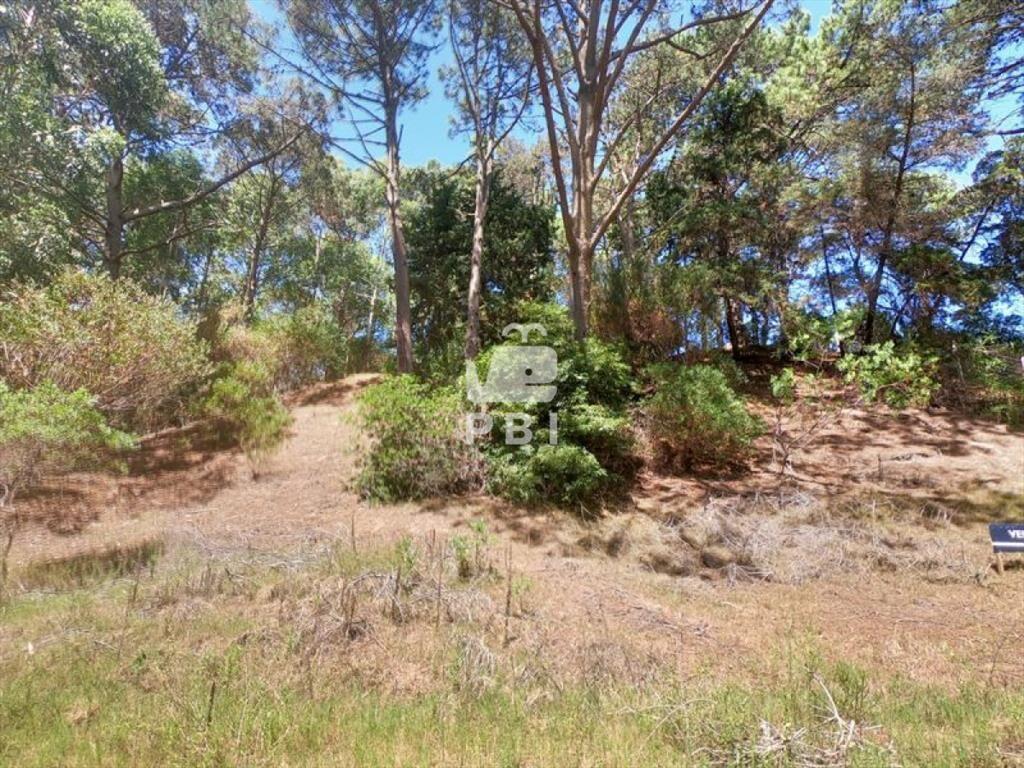 Terreno en venta Club Del Lago - Ref : PBI1367
