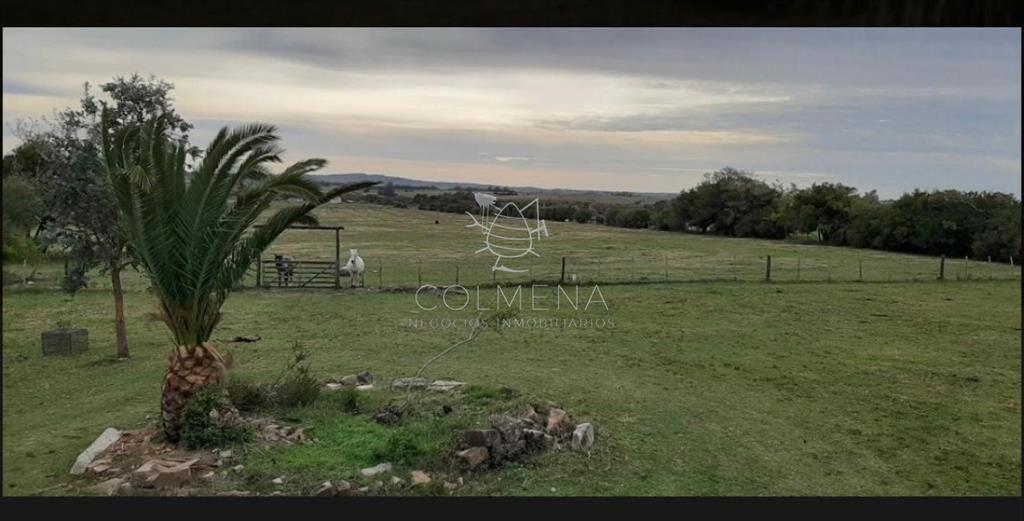 Campo 5 has con linda casa a 25 km de Punta del
