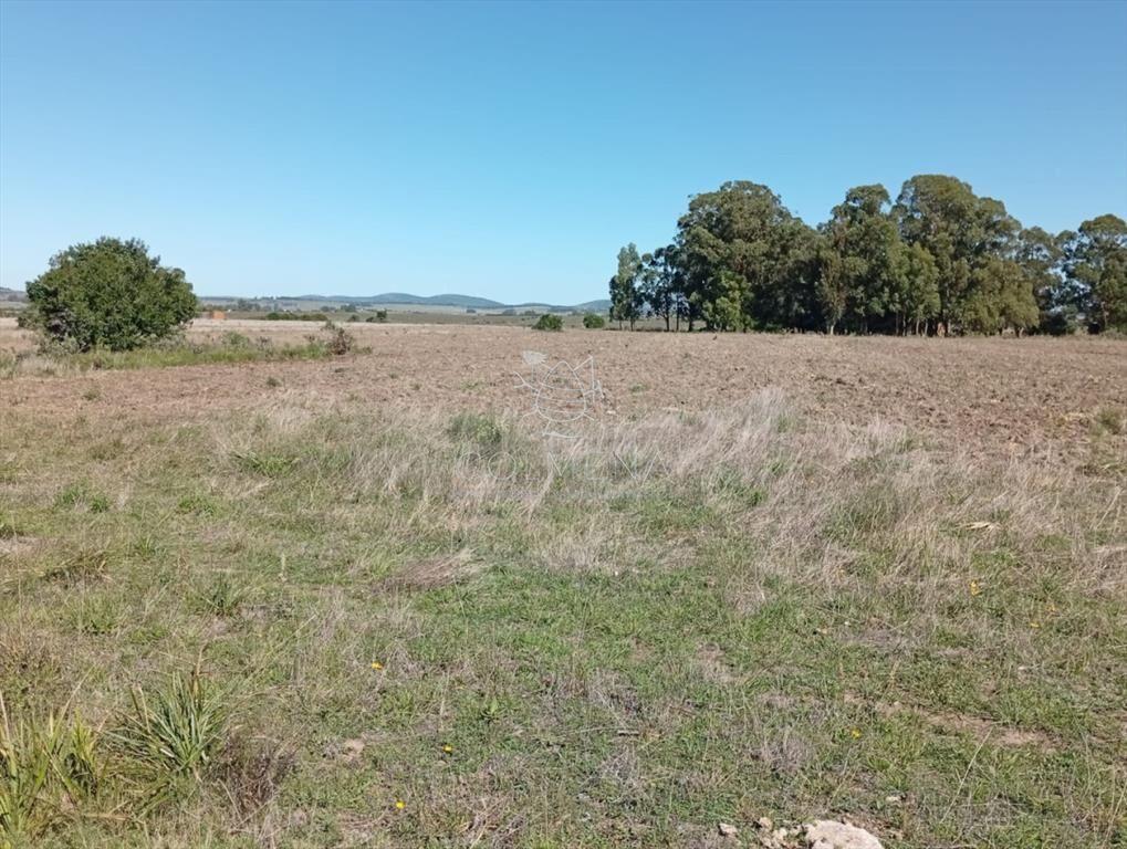 Campo 185 has - Paraje Paso de Dutra