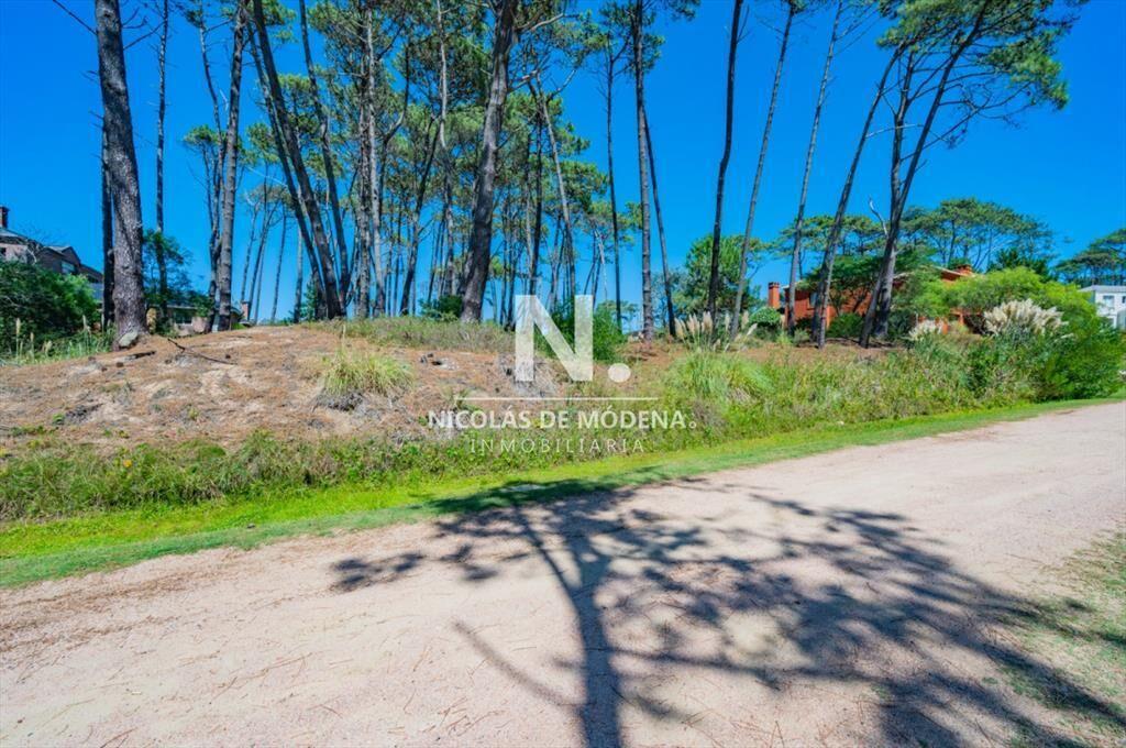 Vende terreno en Laguna Blanca.