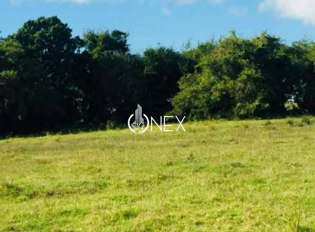 Oportunidad Venta de Campo agricola ganadero 576
