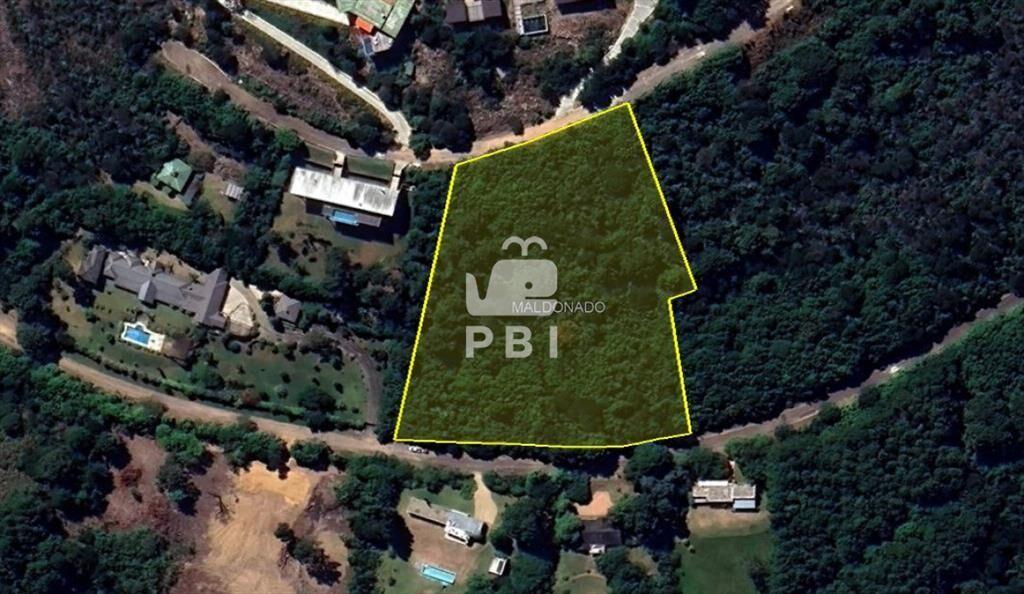 Terreno en venta en Las Cumbres, Punta Ballena  - Ref : PBI