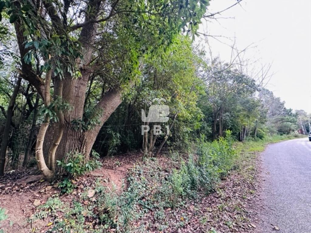 Terreno en Punta Ballena, Santa Hilda. - Ref :