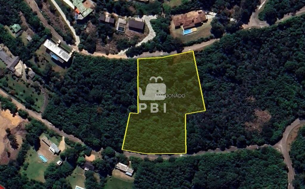 Terreno en venta en Las Cumbres, Punta Ballena  - Ref : PBI