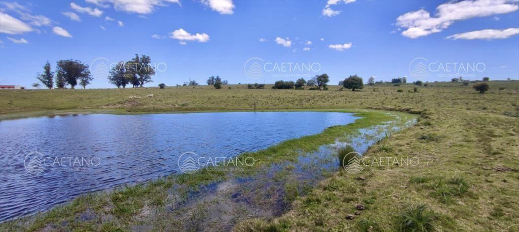 Venta 47has con casa, costa de arroyo y 5