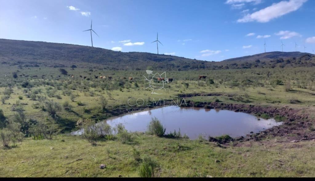 Campos de 6 y 5 has en los Caracoles 35 minutos