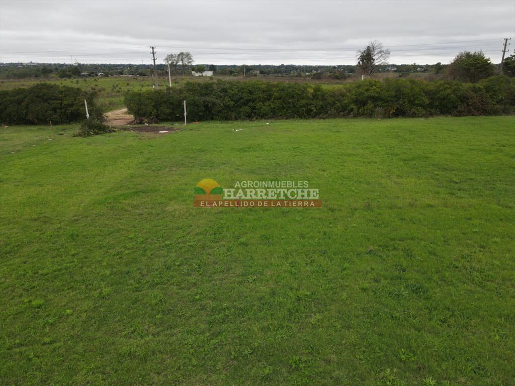 Terreno en Progreso, 360 m2 en Jardín de los (8)