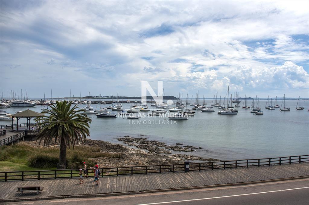 Apartamento Único Frente al Mar en Zona Puerto