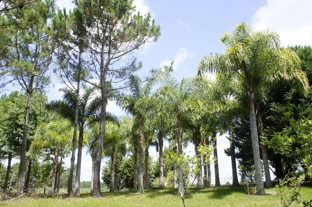Venta Chacra Marítima Rocha 22ha Ruta 10, Cerca del Mar, Ac