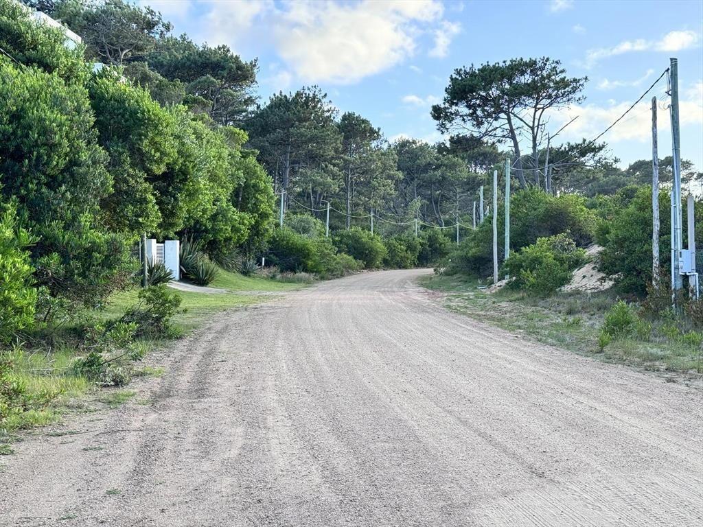 Casa en el Bosque a metros de la playa