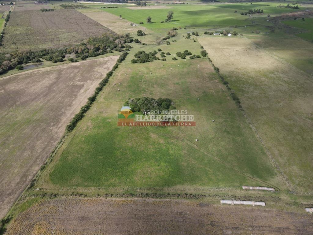Chacra de 5 has en Los Cerrillos, cañada, muy