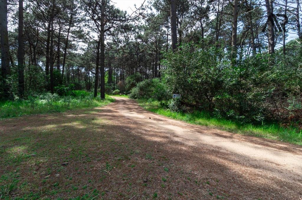 Terreno en venta de 1212m2 ubicado en Solanas