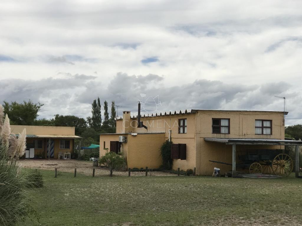 Venta de Chacra sobre ruta 9  a 30 km de Jose