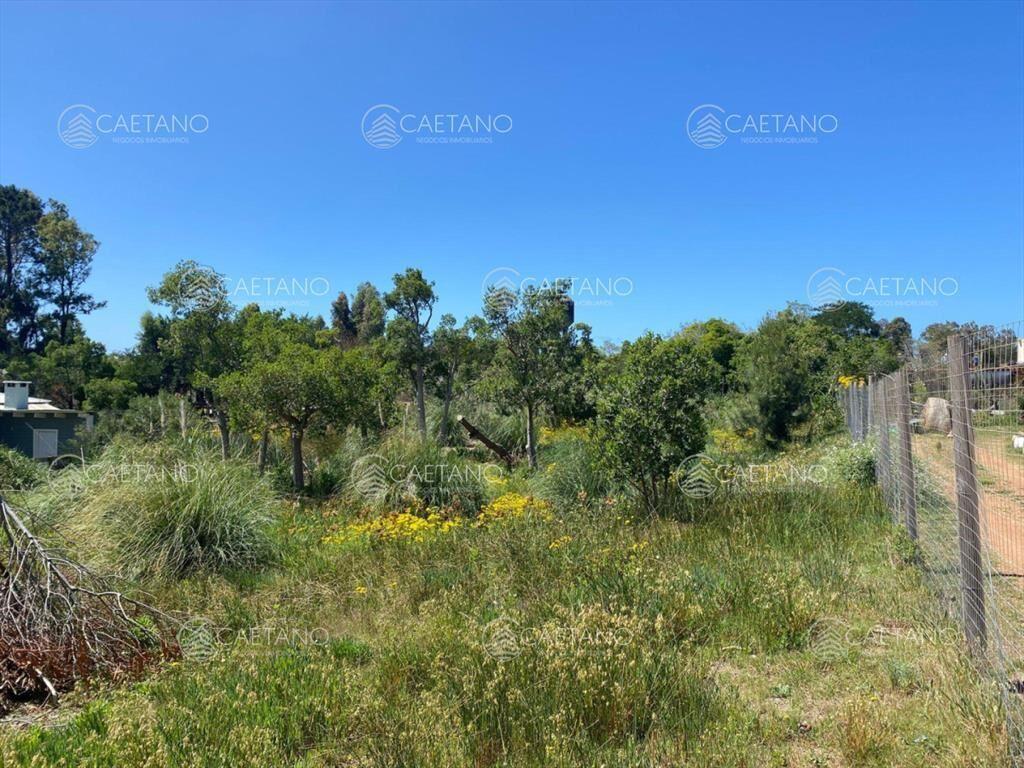 Terreno en barra verde