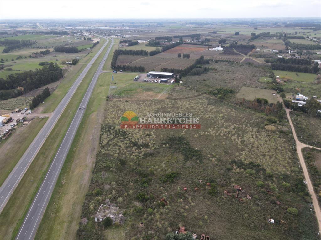 Terreno en venta 37.988 m2 suburbanos sobre ruta 5, logisti