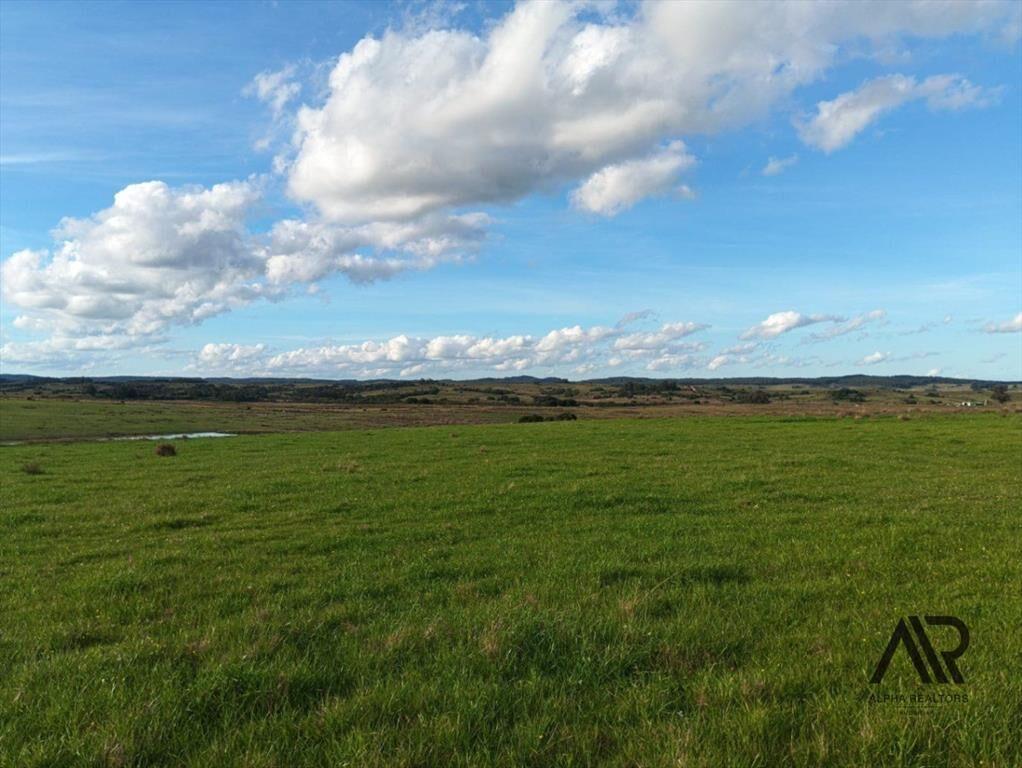 Chacras de 3ha/60 ha en Garzón, con caminería y luz en l...