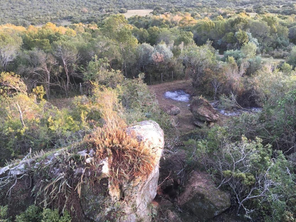 Campo 5 has con 333 m2 en paraje La Coronilla