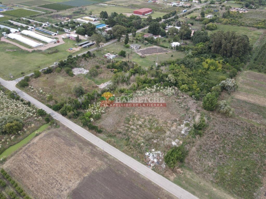 Terreno en Paso de la Arena, 15.789 m2, excelente