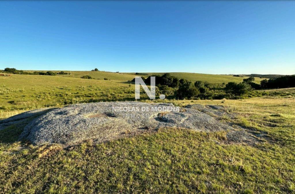 Vende campo de 42 has, en Maldonado Garzon.
