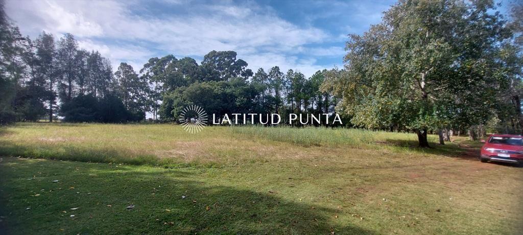 Excelente chacra zona Lapataia. Punta Ballena