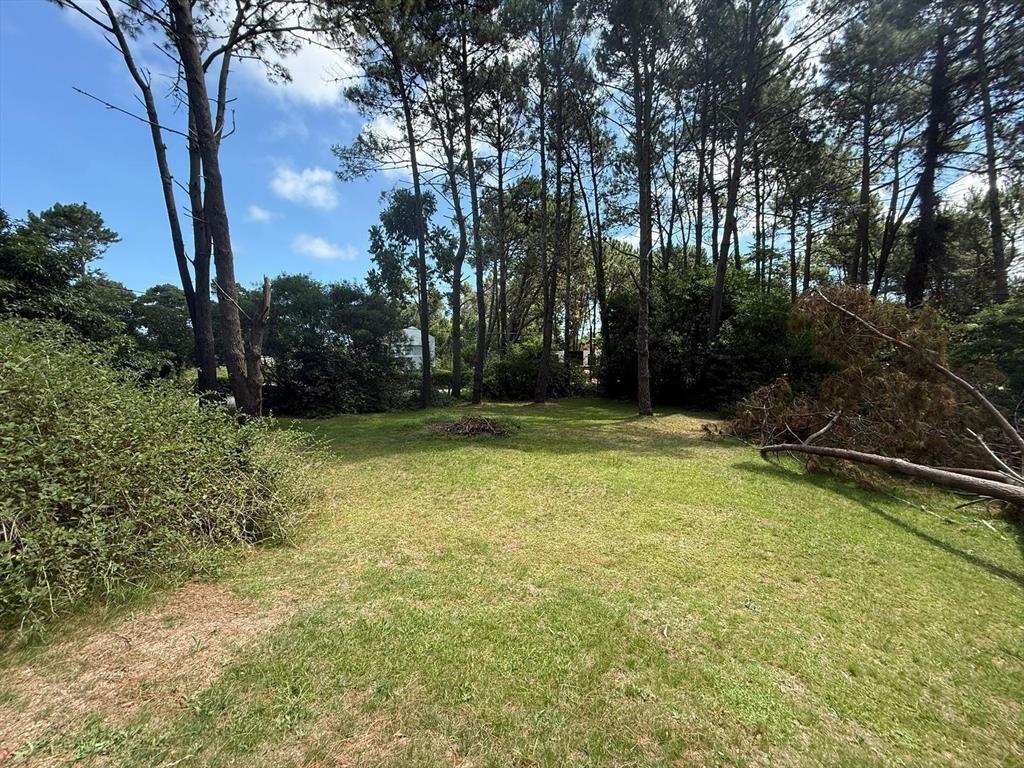 Terreno en Parque Burnett – 3076m²