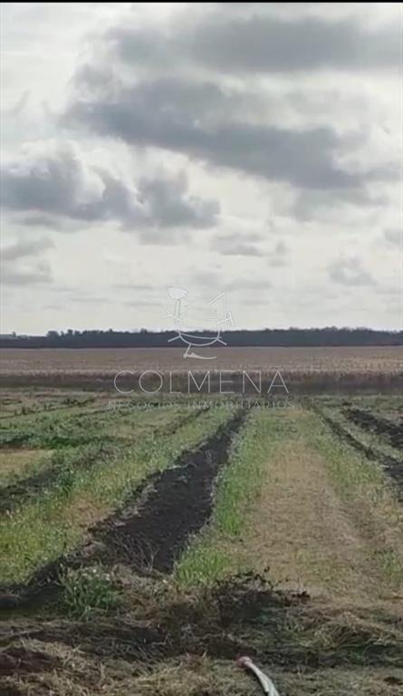 Campo en Canelones
