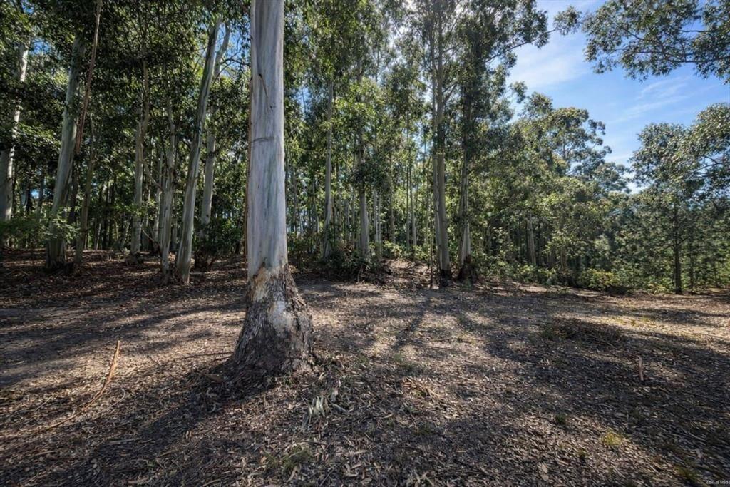 Terreno de una Hectárea a Metros del Río - Carmelo