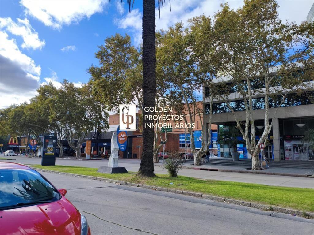 Local Comercial en Alquiler en Pocitos