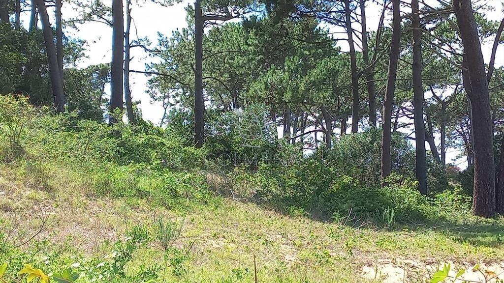 VENTA 1001 m2 EN RINCÓN DEL INDIO -PUNTA DEL