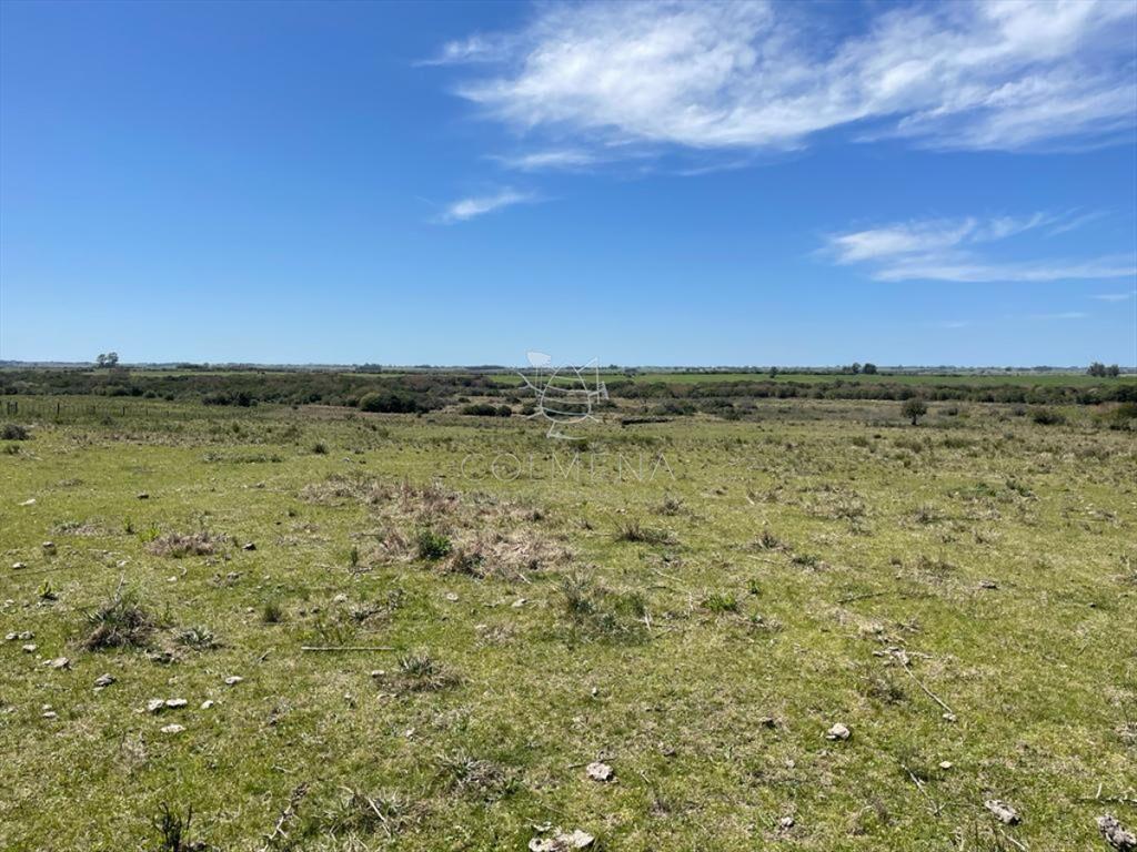 Muy linda parcela de campo sobre ruta a pocos Km