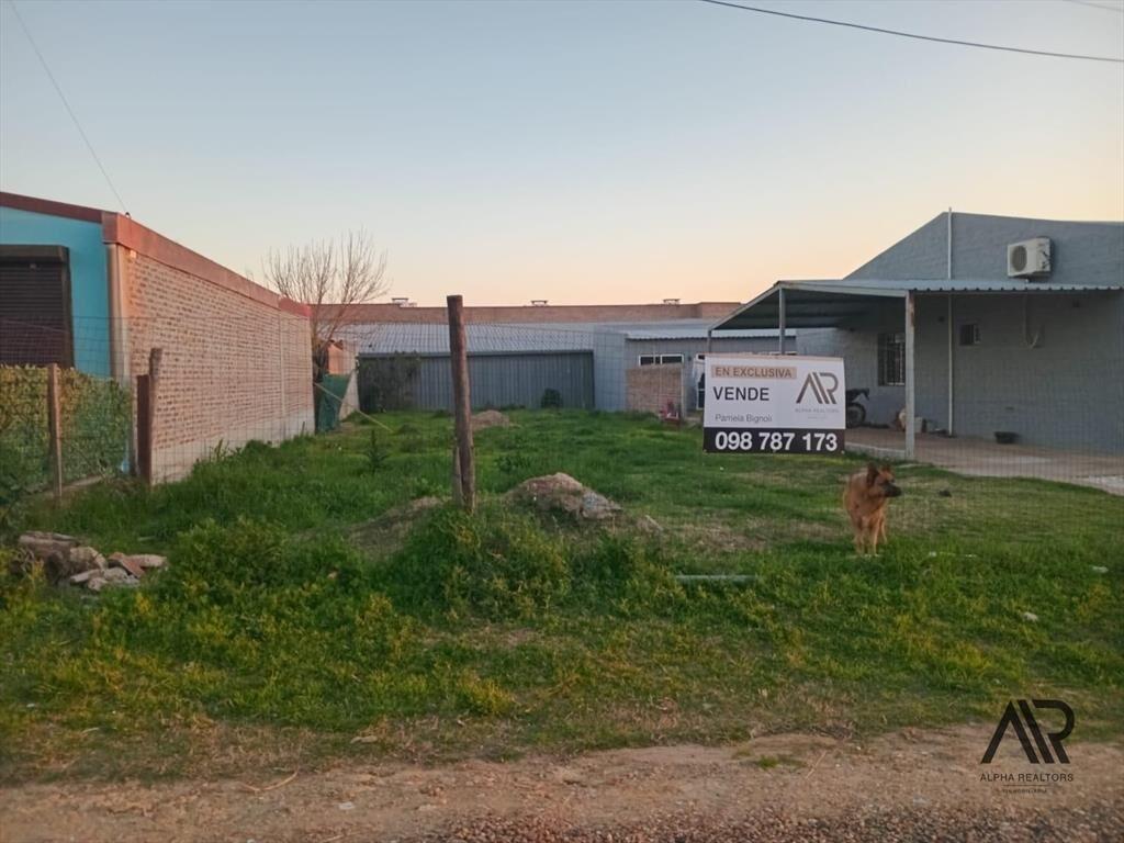 Terreno en venta de 300m2 ubicado en Salto