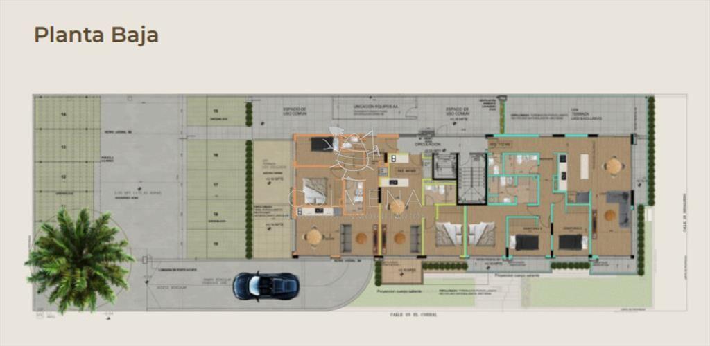 PROYECTO MODELO, nuevo lanzamiento en Punta del