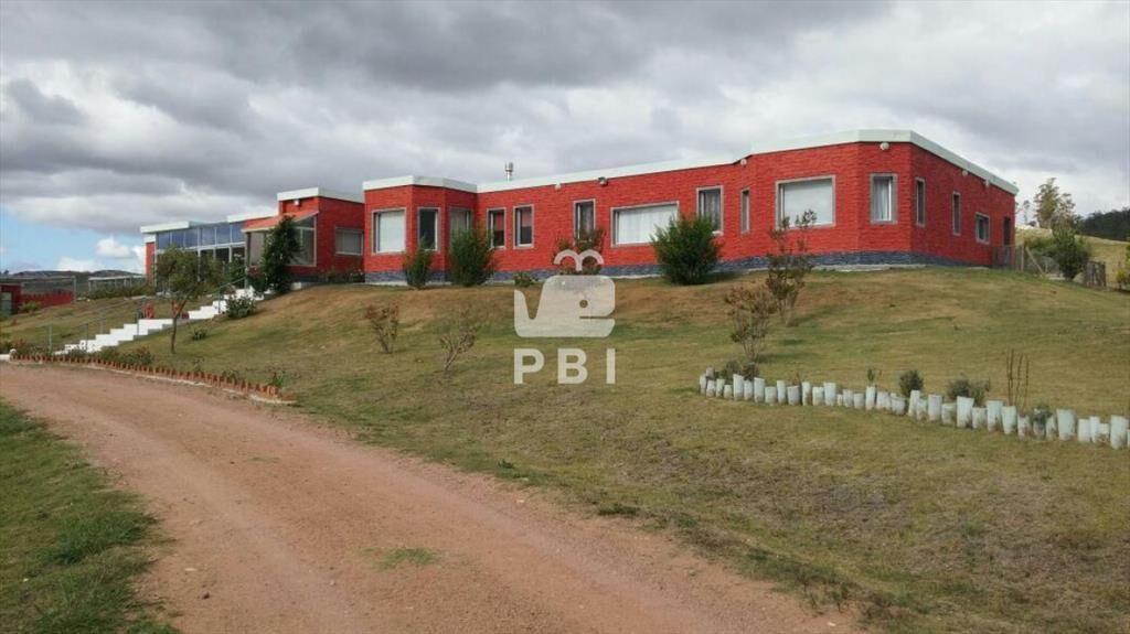Venta de chacra de 5 hectáreas, Maldonado - Ref : PBI13972