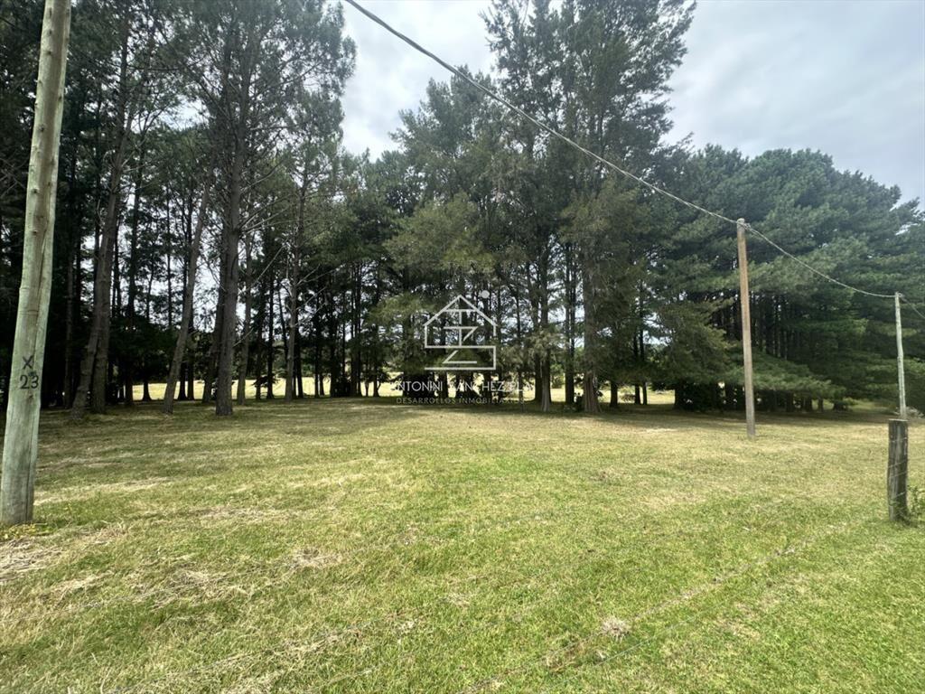 Venta chacra en punta Ballena