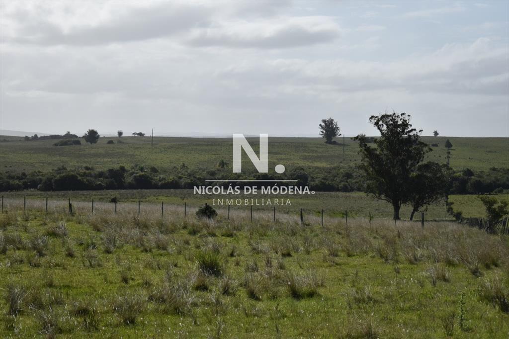 Campo Ruta 9  SAN CARLOS
