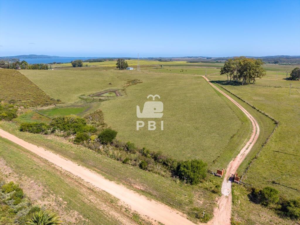 Chacra en venta Punta Ballena 6 dormitorios - Ref