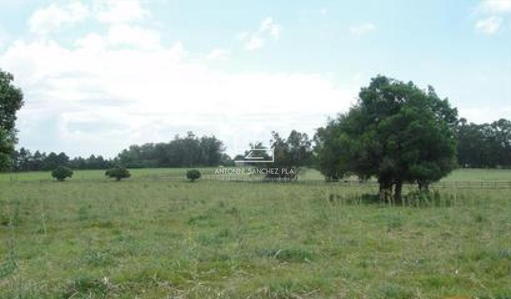 Chacra en venta Punta Ballena La Pataia
