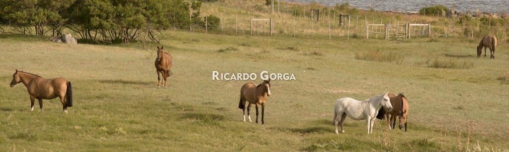 CHACRA LA BAGUALA - OPORTUNIDAD ESPECIAL 2026 - SEGUNDA FILA
