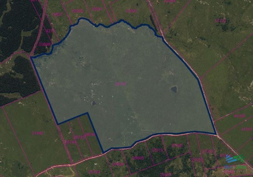 BAJO DE PRECIO...Campo sobre R.12 y a menos de 1