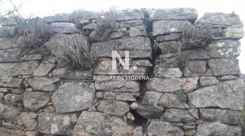 Campo Ganadero en Venta en Aigua