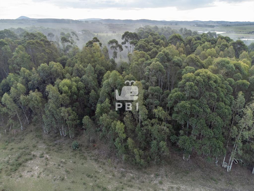 Chacra en venta en Laguna del Sauce, Punta  - Ref